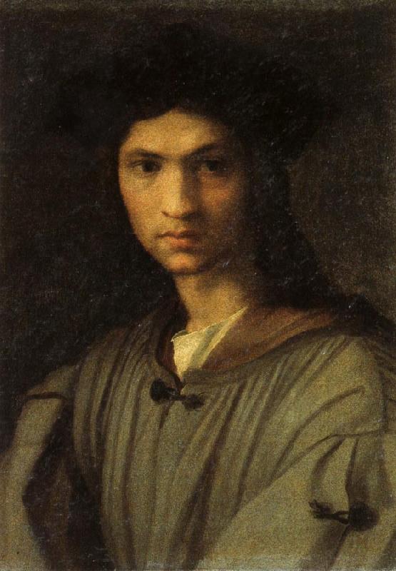 Andrea del Sarto Self-Portrait France oil painting art